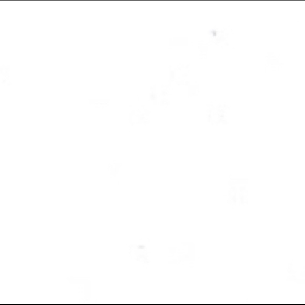 Meet your Posher, Isabella